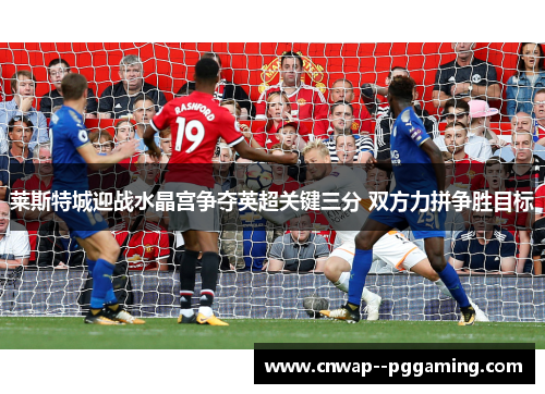 莱斯特城迎战水晶宫争夺英超关键三分 双方力拼争胜目标