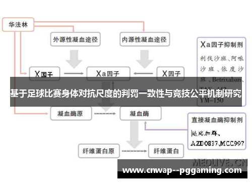 基于足球比赛身体对抗尺度的判罚一致性与竞技公平机制研究 基于足球比赛身体对抗尺度的判罚一致性与竞技公平机制研究