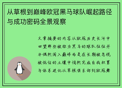 从草根到巅峰欧冠黑马球队崛起路径与成功密码全景观察
